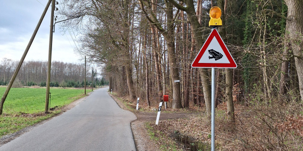 Straßenschild Kröte