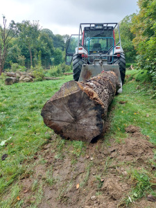 Ein Traktor zieht einen großen Baumstamm durch matschiges Gelände